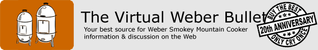 virtualweberbullet.com